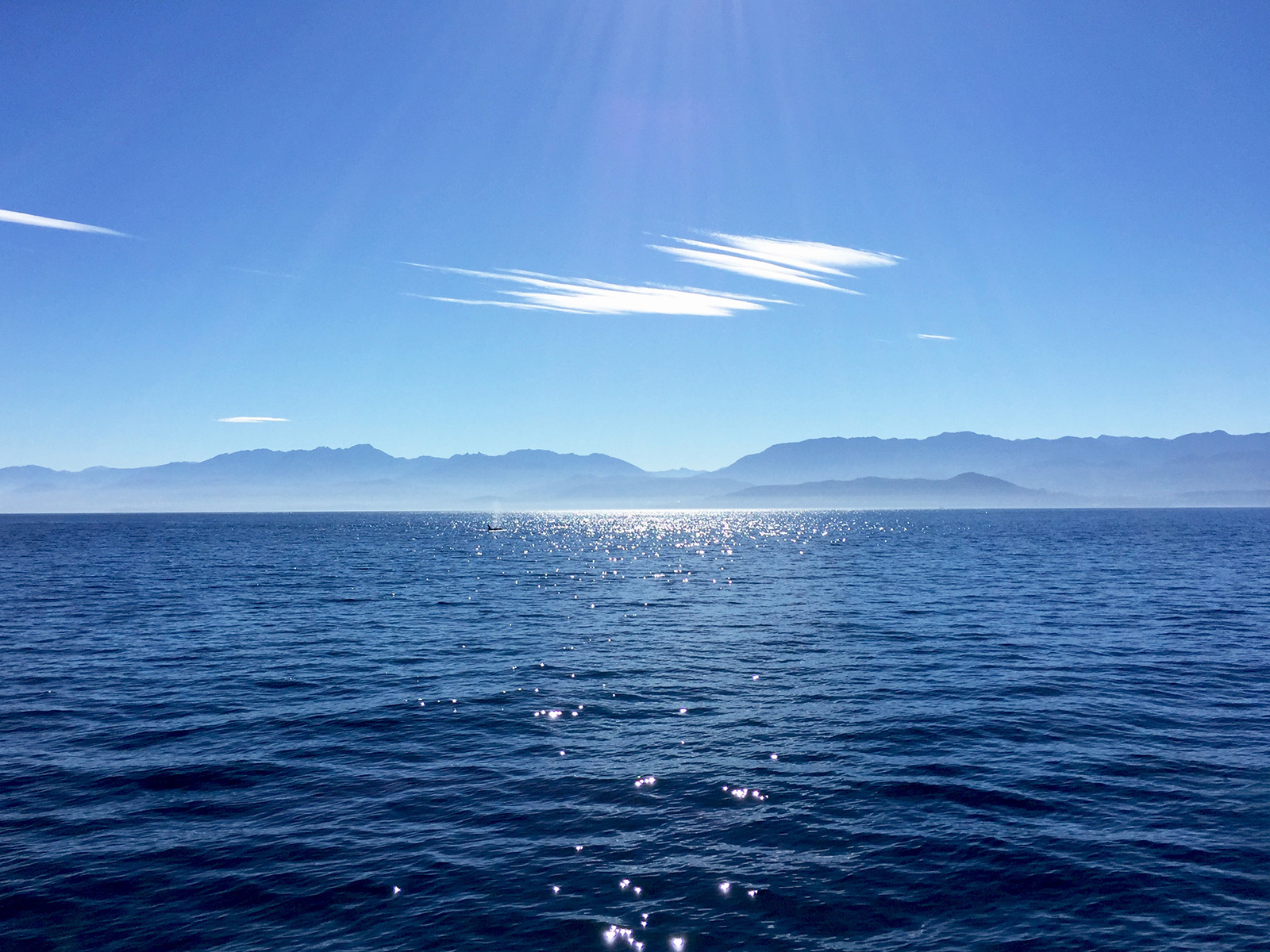 Sunny skies over deep blue water in the Salish Sea.